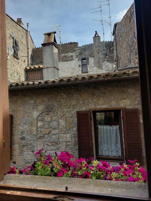 Casa Rosita Vista Lago Bolsena Exteriér fotografie